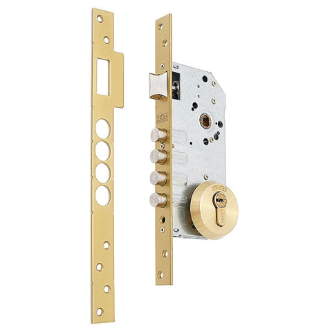 CERRADURA TESA SEGURIDAD R-100B/566E