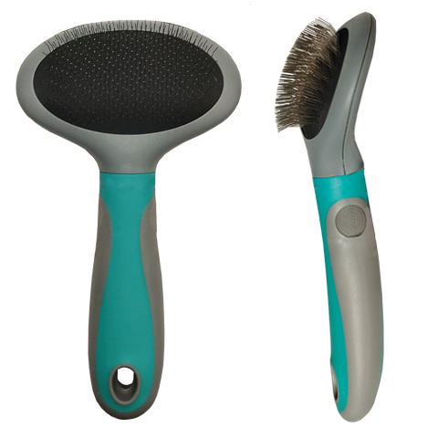 CEPILLO PERRO CARDA  ARCO MEDIANO REF.196800120198