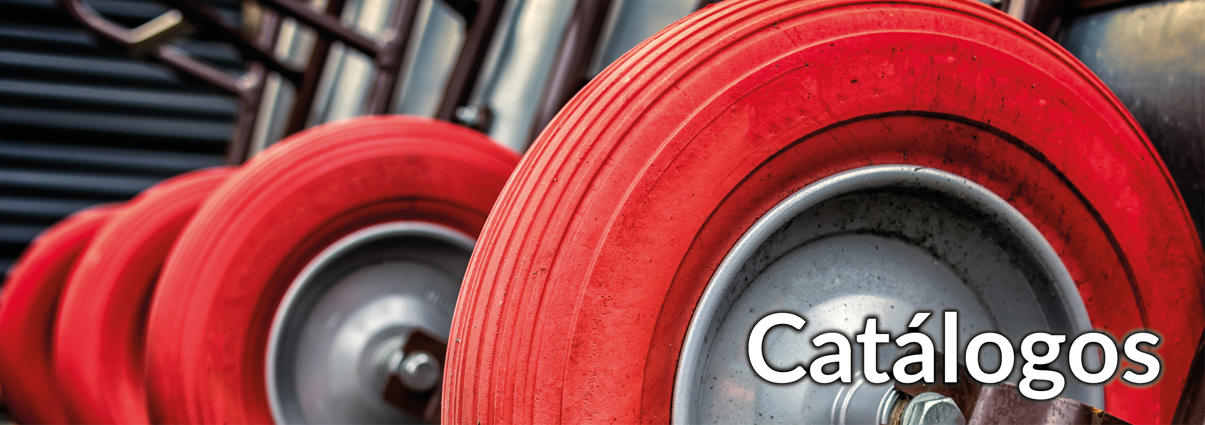 C A T A L O G O S 